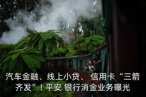 汽車金融、線上小貸、 信用卡“三箭齊發(fā)”! 平安 銀行消金業(yè)務曝光