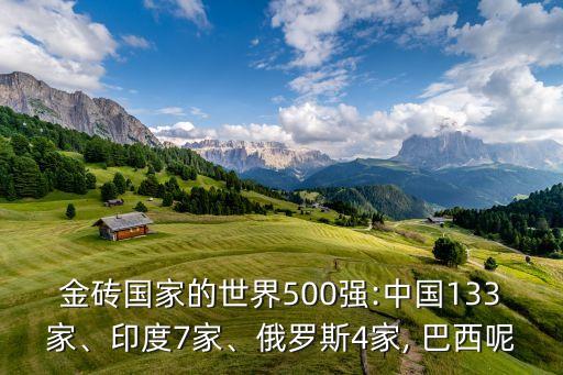 金磚國家的世界500強:中國133家、印度7家、俄羅斯4家, 巴西呢
