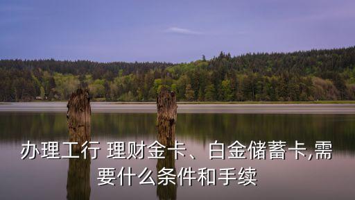 辦理工行 理財(cái)金卡、白金儲(chǔ)蓄卡,需要什么條件和手續(xù)