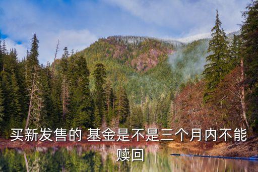 買新發(fā)售的 基金是不是三個月內不能 贖回