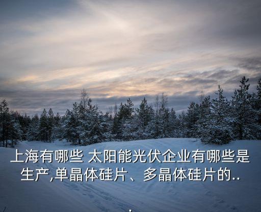 上海有哪些 太陽能光伏企業(yè)有哪些是生產(chǎn),單晶體硅片、多晶體硅片的...