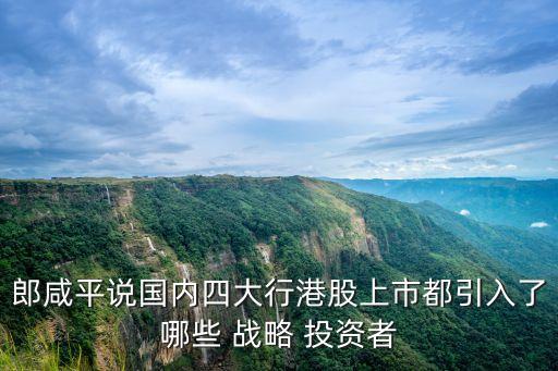 郎咸平說國內四大行港股上市都引入了哪些 戰(zhàn)略 投資者