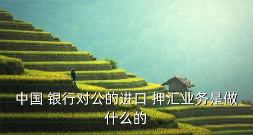 中國 銀行對公的進口 押匯業(yè)務(wù)是做什么的
