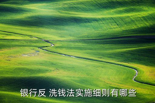  銀行反 洗錢(qián)法實(shí)施細(xì)則有哪些