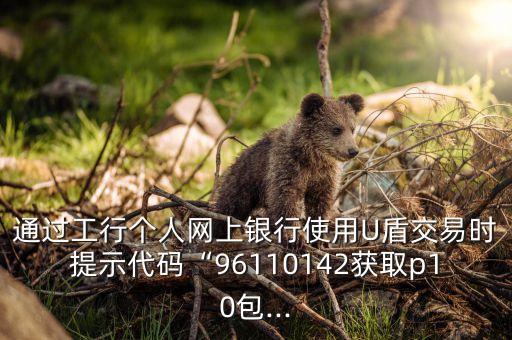 通過工行個人網上銀行使用U盾交易時提示代碼“96110142獲取p10包...