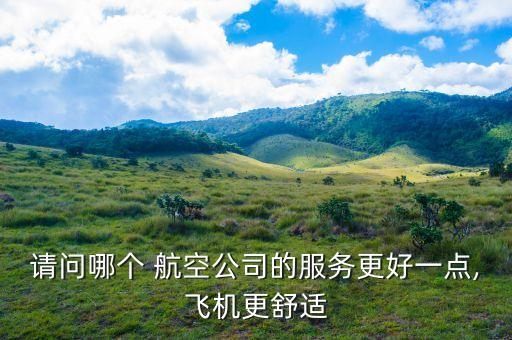 請(qǐng)問哪個(gè) 航空公司的服務(wù)更好一點(diǎn),飛機(jī)更舒適