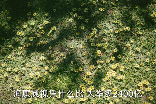 ?？低晳{什么比 大華多2400億