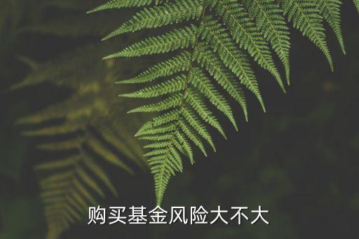 購(gòu)買(mǎi)基金風(fēng)險(xiǎn)大不大