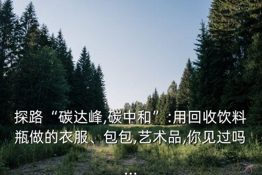 探路“碳達峰,碳中和”:用回收飲料瓶做的衣服、包包,藝術品,你見過嗎...