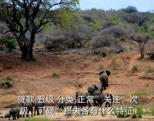  貸款 五級 分類,正常、關(guān)注、次級、可疑、損失各有什么特征