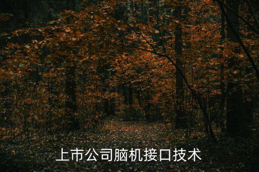 上市公司腦機接口技術