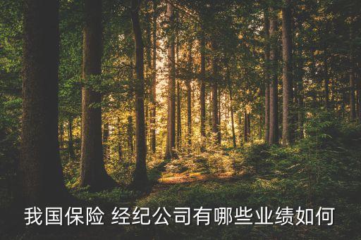 我國保險(xiǎn) 經(jīng)紀(jì)公司有哪些業(yè)績?nèi)绾? class=