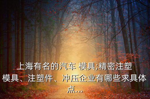  上海有名的汽車 模具;精密注塑 模具、注塑件、沖壓企業(yè)有哪些求具體點(diǎn)...