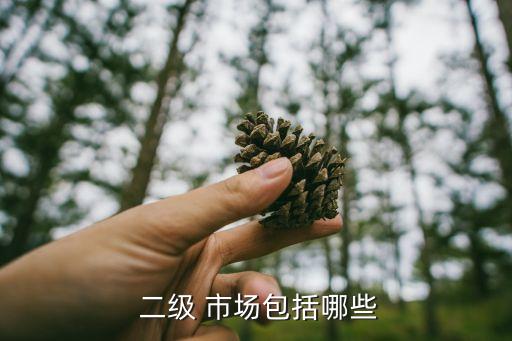 二級(jí)市場上的投資大師
