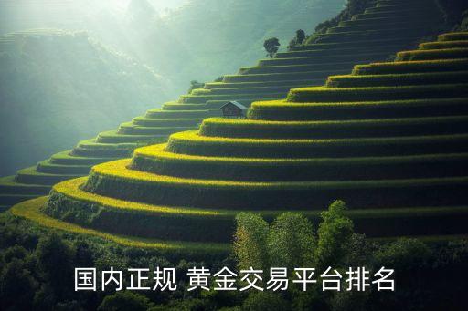 國內正規(guī) 黃金交易平臺排名