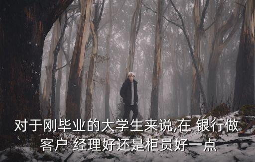 對于剛畢業(yè)的大學生來說,在 銀行做 客戶 經(jīng)理好還是柜員好一點