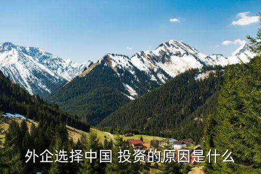 外企選擇中國(guó) 投資的原因是什么
