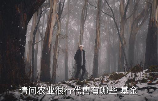 請問農業(yè)很行代售有哪些 基金