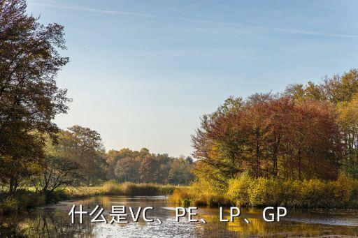 什么是VC、PE、LP、GP