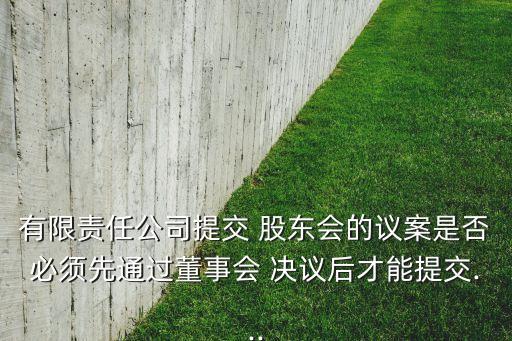 有限責任公司提交 股東會的議案是否必須先通過董事會 決議后才能提交...