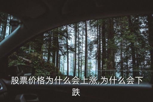  股票價(jià)格為什么會上漲,為什么會下跌