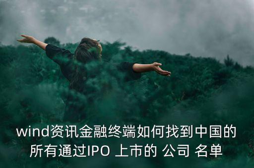 wind資訊金融終端如何找到中國(guó)的所有通過IPO 上市的 公司 名單