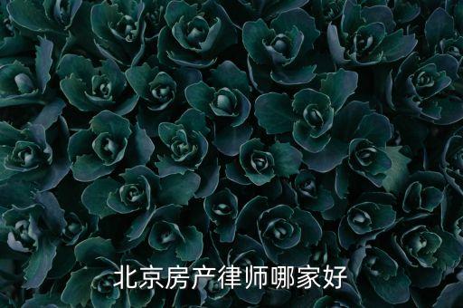 北京房產律師哪家好