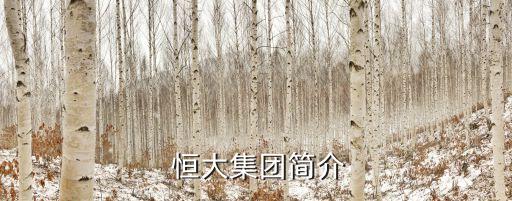 恒大地產(chǎn)深圳公司董事長(zhǎng)秘書,西安恒大地產(chǎn)公司董事長(zhǎng)電話