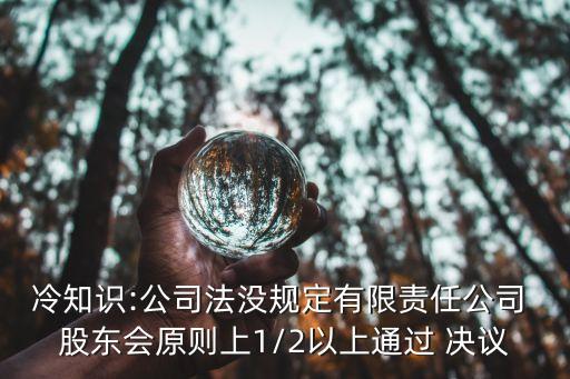 冷知識:公司法沒規(guī)定有限責任公司 股東會原則上1/2以上通過 決議