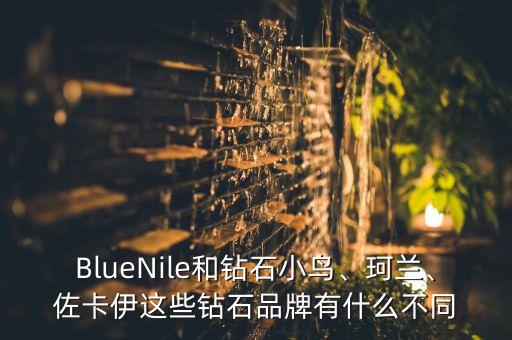 BlueNile和鉆石小鳥、珂蘭、佐卡伊這些鉆石品牌有什么不同