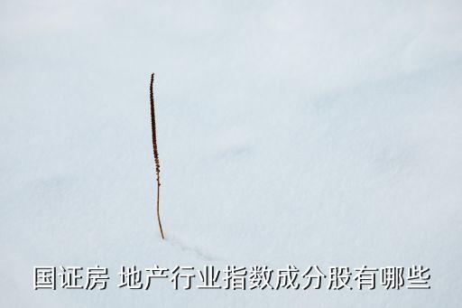 國證房 地產行業(yè)指數成分股有哪些