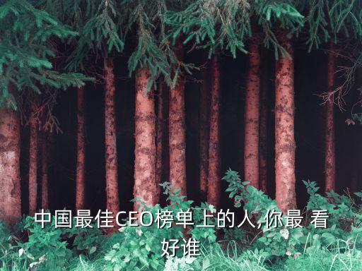 中國(guó)最佳CEO榜單上的人,你最 看好誰