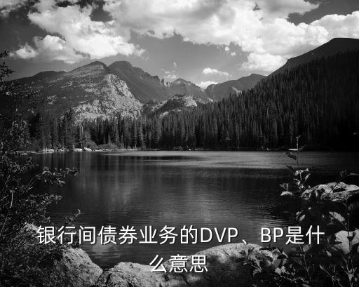  銀行間債券業(yè)務(wù)的DVP、BP是什么意思