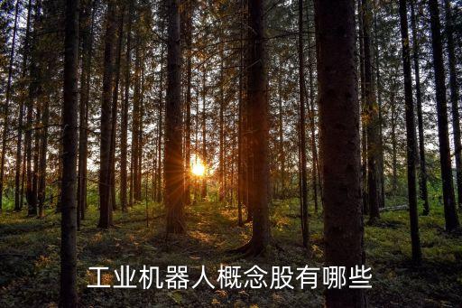 工業(yè)機(jī)器人概念股有哪些