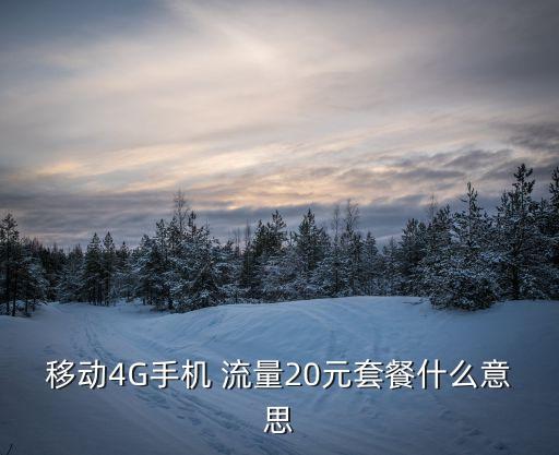 移動4G手機 流量20元套餐什么意思