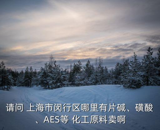 請(qǐng)問 上海市閔行區(qū)哪里有片堿、磺酸、AES等 化工原料賣啊