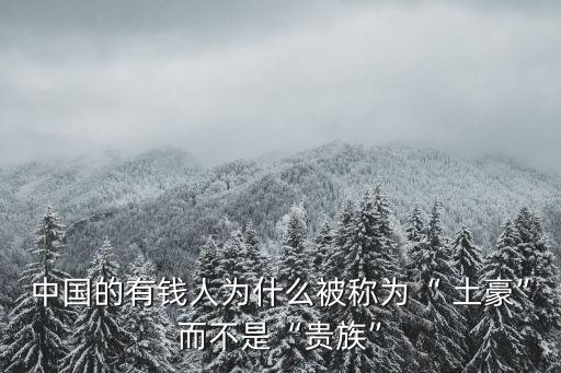 中國(guó)的有錢(qián)人為什么被稱(chēng)為“ 土豪”而不是“貴族”