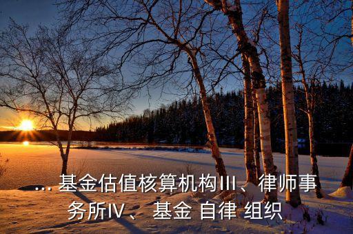 ... 基金估值核算機(jī)構(gòu)Ⅲ、律師事務(wù)所Ⅳ、 基金 自律 組織