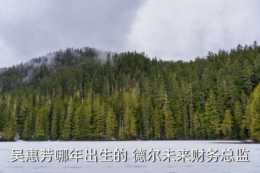 吳惠芳哪年出生的 德爾未來財(cái)務(wù)總監(jiān)