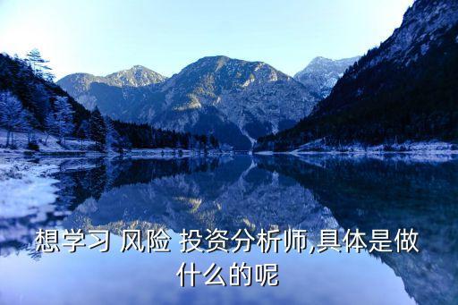 想學(xué)習 風險 投資分析師,具體是做什么的呢