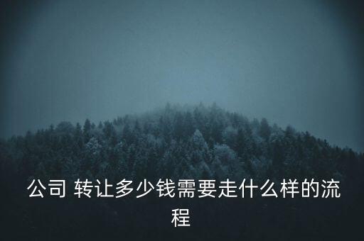  公司 轉讓多少錢需要走什么樣的流程