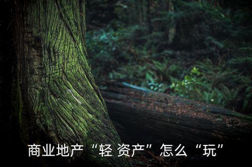 商業(yè)地產“輕 資產”怎么“玩”