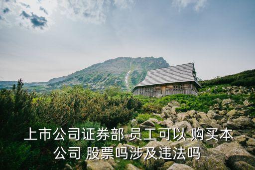  上市公司證券部 員工可以 購(gòu)買(mǎi)本公司 股票嗎涉及違法嗎