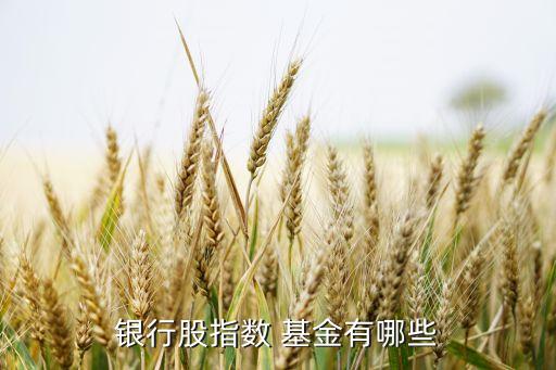 銀行股指數 基金有哪些