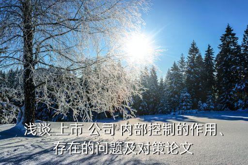 淺談 上市 公司 內(nèi)部控制的作用、存在的問題及對策論文