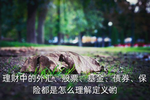 理財(cái)中的外匯、股票、基金、債券、保險(xiǎn)都是怎么理解定義喲