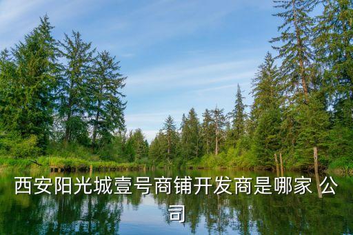 2013中國上市公司綜合實力100強(qiáng)