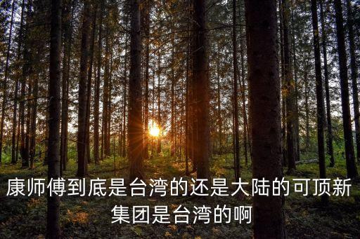 頂新集團(tuán)董事長(zhǎng)被判刑,頂新國(guó)際集團(tuán)董事長(zhǎng)是誰