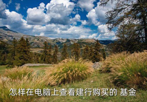 怎樣在電腦上查看建行購(gòu)買(mǎi)的 基金