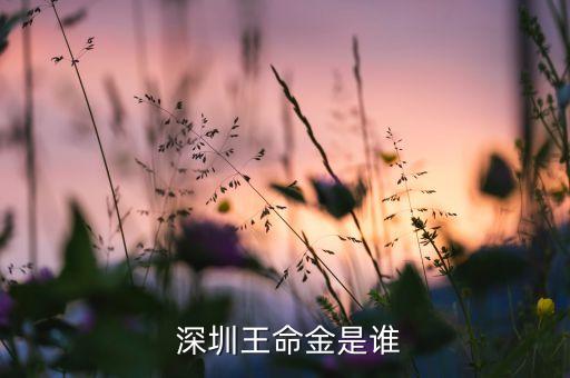  深圳王命金是誰(shuí)